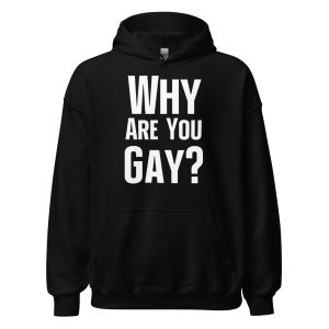 Why Are You Gay? Unisex Hoodie