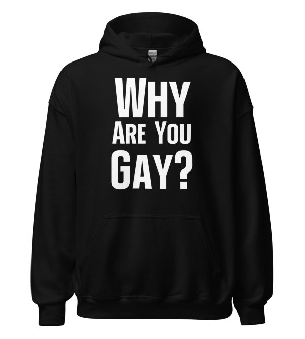 Why Are You Gay? Unisex Hoodie