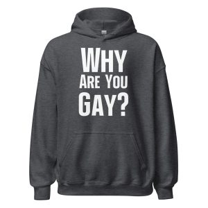 Why Are You Gay? Unisex Hoodie